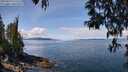 ./images/koeye/fitz-hugh/20250429/fitz-hugh20250429_115510M.jpg