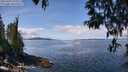 ./images/koeye/fitz-hugh/20250429/fitz-hugh20250429_121010M.jpg