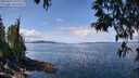 ./images/koeye/fitz-hugh/20250429/fitz-hugh20250429_121509M.jpg