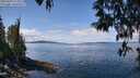 ./images/koeye/fitz-hugh/20250429/fitz-hugh20250429_122010M.jpg