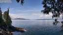 ./images/koeye/fitz-hugh/20250429/fitz-hugh20250429_123510M.jpg