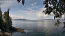 ./images/koeye/fitz-hugh/20250429/fitz-hugh20250429_125510M.jpg