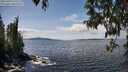 ./images/koeye/fitz-hugh/20250429/fitz-hugh20250429_135010M.jpg