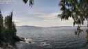 ./images/koeye/fitz-hugh/20250429/fitz-hugh20250429_142010M.jpg