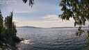 ./images/koeye/fitz-hugh/20250429/fitz-hugh20250429_142510M.jpg