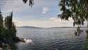 ./images/koeye/fitz-hugh/20250429/fitz-hugh20250429_143011M.jpg