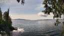 ./images/koeye/fitz-hugh/20250429/fitz-hugh20250429_144010M.jpg