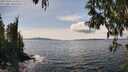 ./images/koeye/fitz-hugh/20250429/fitz-hugh20250429_144511M.jpg
