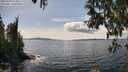 ./images/koeye/fitz-hugh/20250429/fitz-hugh20250429_145011M.jpg