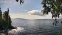 ./images/koeye/fitz-hugh/20250429/fitz-hugh20250429_145510M.jpg