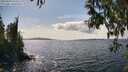 ./images/koeye/fitz-hugh/20250429/fitz-hugh20250429_151010M.jpg