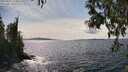 ./images/koeye/fitz-hugh/20250429/fitz-hugh20250429_153012M.jpg