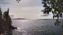 ./images/koeye/fitz-hugh/20250429/fitz-hugh20250429_155510M.jpg