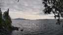./images/koeye/fitz-hugh/20250429/fitz-hugh20250429_165010M.jpg