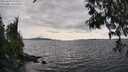 ./images/koeye/fitz-hugh/20250429/fitz-hugh20250429_165510M.jpg