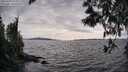 ./images/koeye/fitz-hugh/20250429/fitz-hugh20250429_171011M.jpg