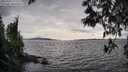 ./images/koeye/fitz-hugh/20250429/fitz-hugh20250429_171511M.jpg