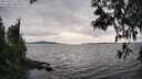 ./images/koeye/fitz-hugh/20250429/fitz-hugh20250429_172509M.jpg