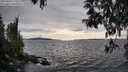 ./images/koeye/fitz-hugh/20250429/fitz-hugh20250429_173510M.jpg
