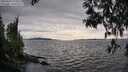 ./images/koeye/fitz-hugh/20250429/fitz-hugh20250429_174011M.jpg