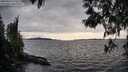 ./images/koeye/fitz-hugh/20250429/fitz-hugh20250429_175510M.jpg