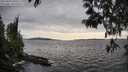 ./images/koeye/fitz-hugh/20250429/fitz-hugh20250429_180510M.jpg