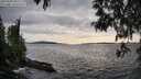 ./images/koeye/fitz-hugh/20250429/fitz-hugh20250429_181510M.jpg