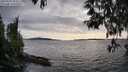 ./images/koeye/fitz-hugh/20250429/fitz-hugh20250429_182010M.jpg