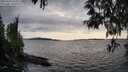 ./images/koeye/fitz-hugh/20250429/fitz-hugh20250429_182509M.jpg
