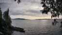 ./images/koeye/fitz-hugh/20250429/fitz-hugh20250429_183509M.jpg