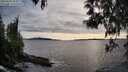 ./images/koeye/fitz-hugh/20250429/fitz-hugh20250429_184010M.jpg