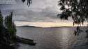 ./images/koeye/fitz-hugh/20250429/fitz-hugh20250429_184510M.jpg