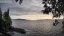 ./images/koeye/fitz-hugh/20250429/fitz-hugh20250429_185010M.jpg