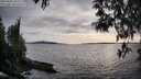 ./images/koeye/fitz-hugh/20250429/fitz-hugh20250429_185510M.jpg