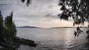 ./images/koeye/fitz-hugh/20250429/fitz-hugh20250429_190009M.jpg