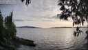 ./images/koeye/fitz-hugh/20250429/fitz-hugh20250429_190508M.jpg