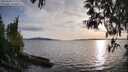 ./images/koeye/fitz-hugh/20250429/fitz-hugh20250429_191009M.jpg