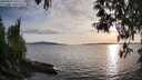 ./images/koeye/fitz-hugh/20250429/fitz-hugh20250429_191509M.jpg