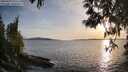 ./images/koeye/fitz-hugh/20250429/fitz-hugh20250429_193508M.jpg
