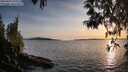 ./images/koeye/fitz-hugh/20250429/fitz-hugh20250429_195508M.jpg