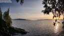 ./images/koeye/fitz-hugh/20250429/fitz-hugh20250429_200509M.jpg