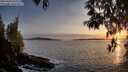 ./images/koeye/fitz-hugh/20250429/fitz-hugh20250429_202508M.jpg