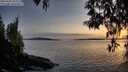 ./images/koeye/fitz-hugh/20250429/fitz-hugh20250429_203508M.jpg