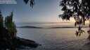./images/koeye/fitz-hugh/20250429/fitz-hugh20250429_210507M.jpg