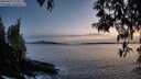 ./images/koeye/fitz-hugh/20250429/fitz-hugh20250429_211008M.jpg