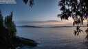./images/koeye/fitz-hugh/20250429/fitz-hugh20250429_211509M.jpg