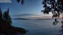 ./images/koeye/fitz-hugh/20250429/fitz-hugh20250429_212508M.jpg