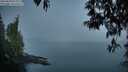 ./images/koeye/fitz-hugh/20250430/fitz-hugh20250430_055010M.jpg
