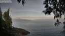 ./images/koeye/fitz-hugh/20250430/fitz-hugh20250430_074510M.jpg