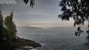 ./images/koeye/fitz-hugh/20250430/fitz-hugh20250430_075011M.jpg